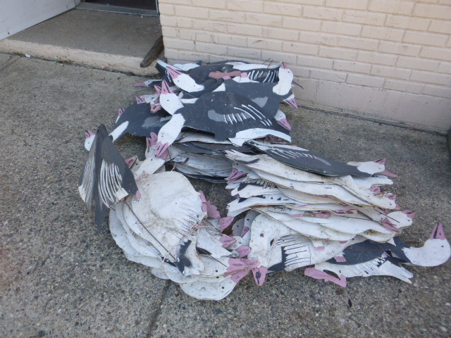 lot 164 image: Geese Field Decoys