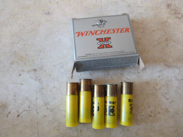 lot 182 image: 5 Super X 20 Gauge Hallow Point Slugs