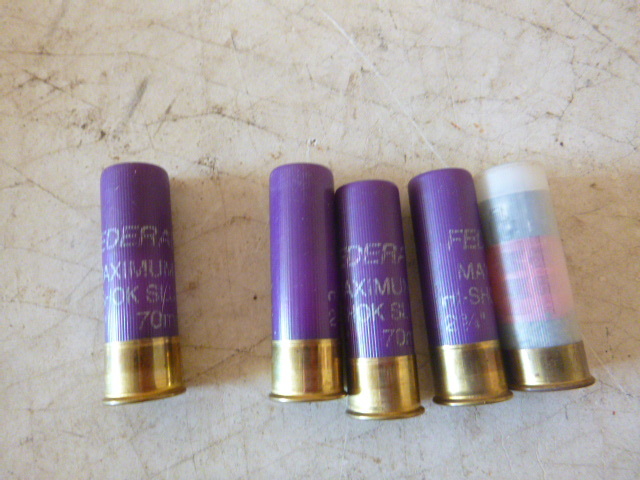 lot 189 image: 5 Miscellaneous 12 Gauge Shotgun Slugs