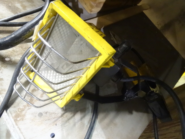 Halogen Light