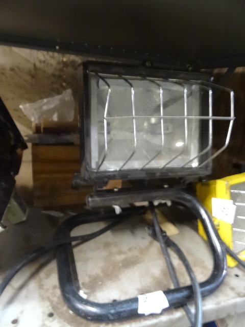 Halogen Light
