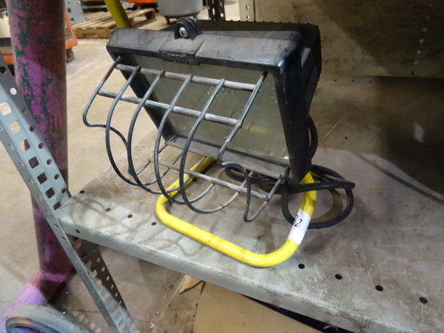 Halogen Light