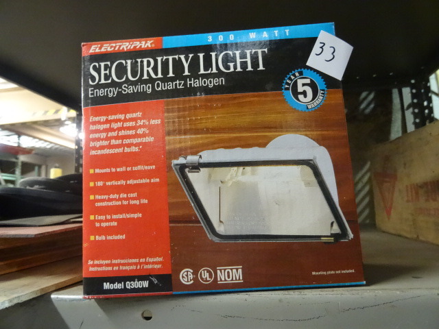 Security Light