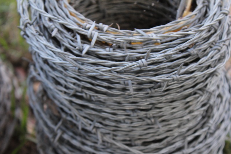 lot 9 image: Barbed Wire