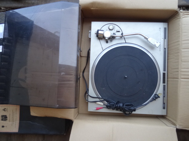 Pioneer