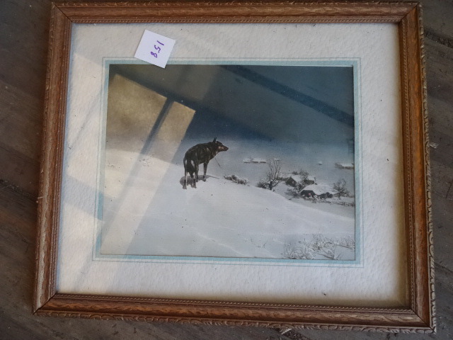 Wolf Print