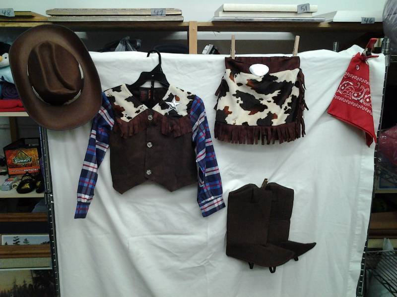 Cowgirl Costume