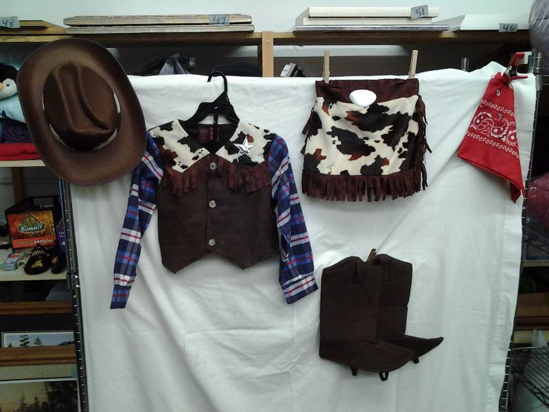 Cowgirl Costume