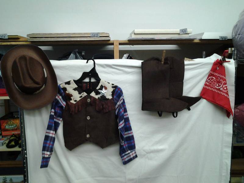 Cowgirl Costume