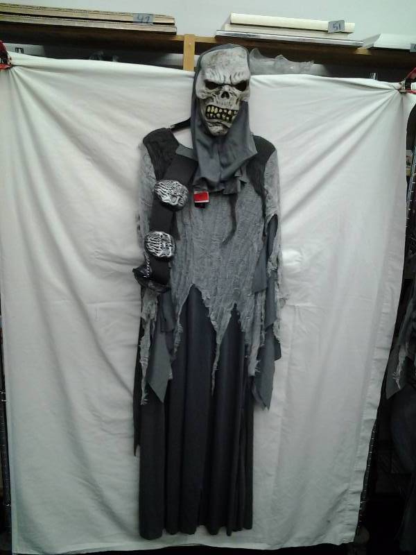 Gray Ghost Costume