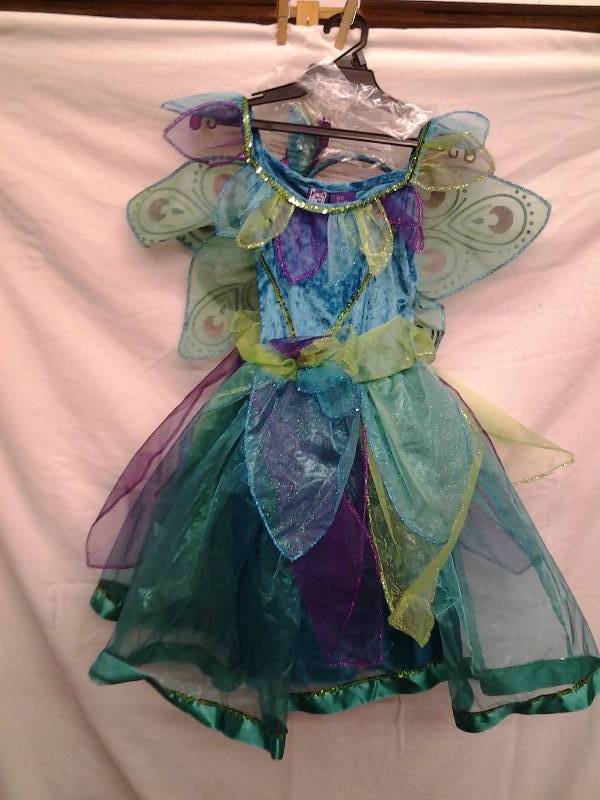 Fairy Costume