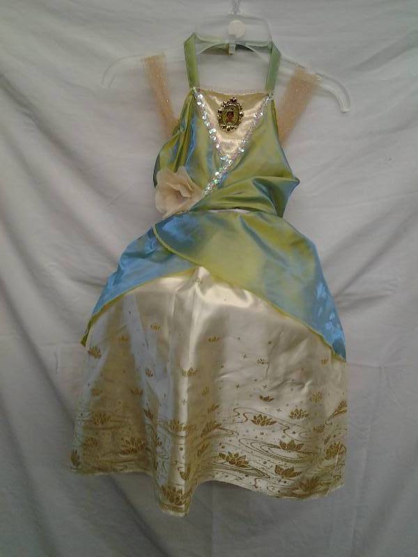 Disney Princess Costume