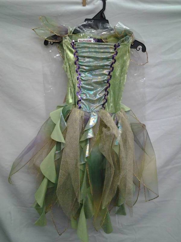 Fairy Costume
