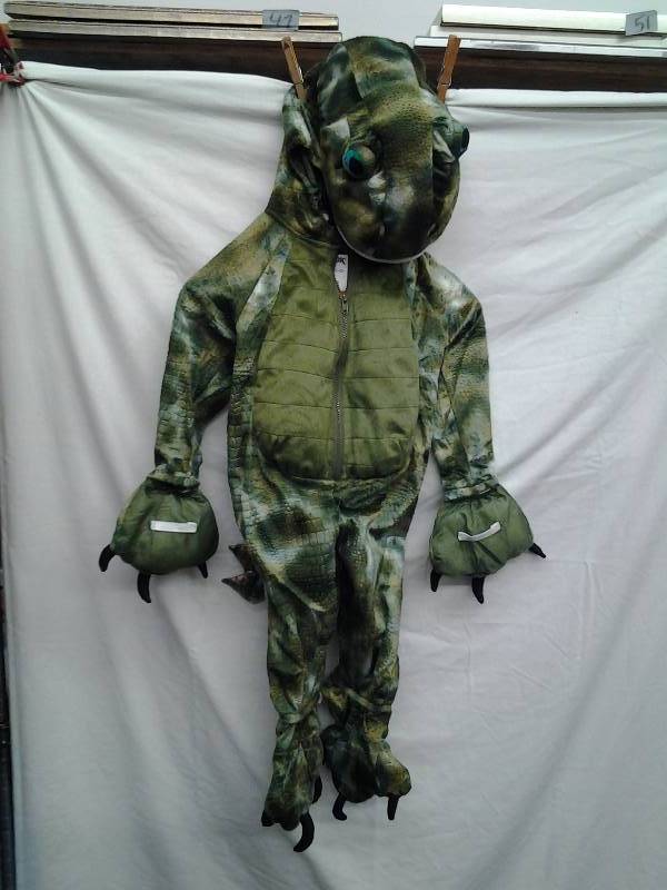 Dinosaur Costume