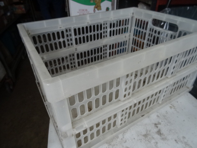 Fold Up Bin