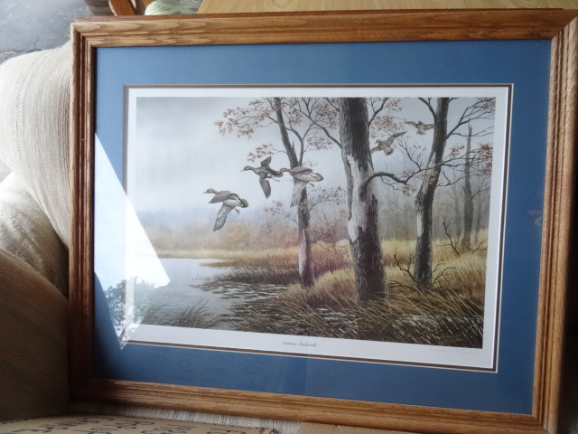 Autumn Gadwalls Print