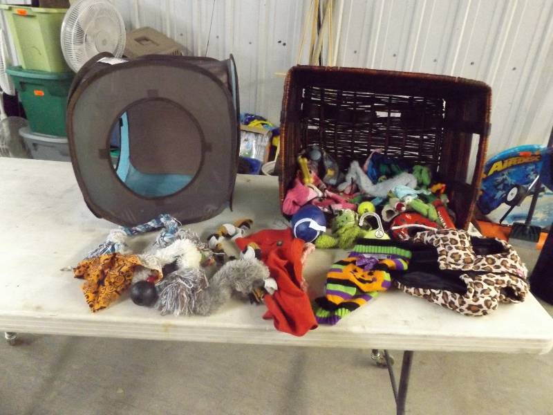 lot 217 image: Pet Lot 5