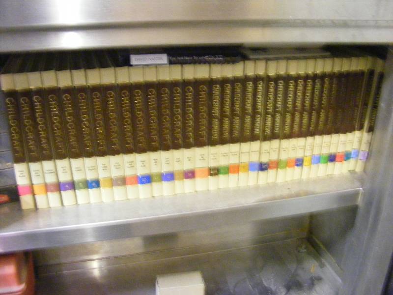 lot 17 image: Childcraft The How and Why Library