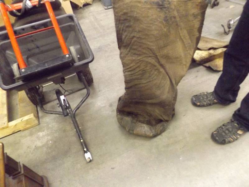 lot 107 image: Elephant Feet