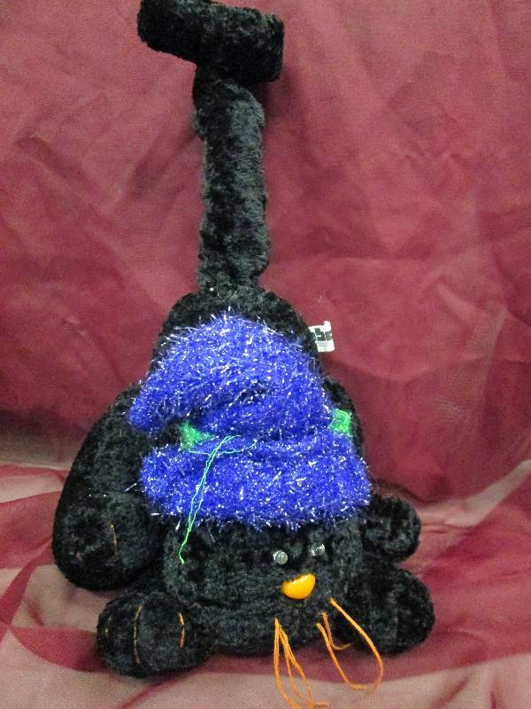 Black cat with purple hat...
