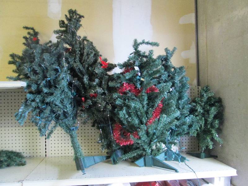 Assortment of size of Christmas tre...