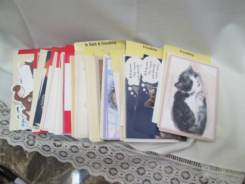 Assortment of friendship with cat a...