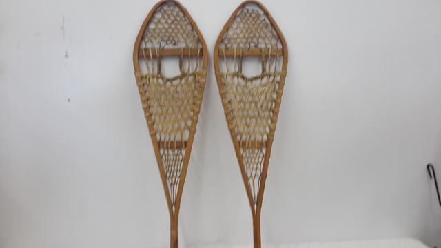 snowshoes