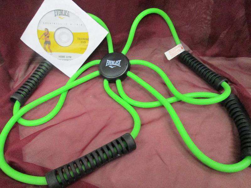 everlast risistance tube...