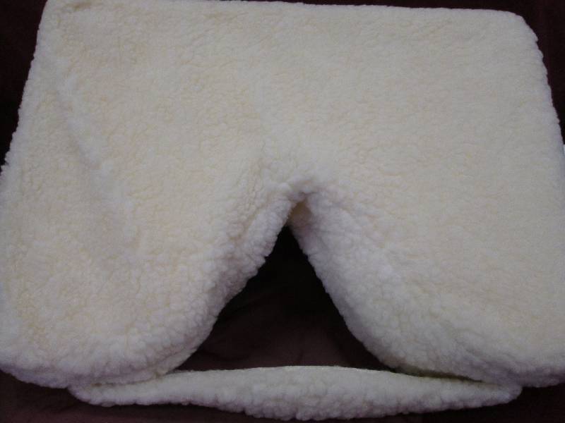 Coccyx Cushion...