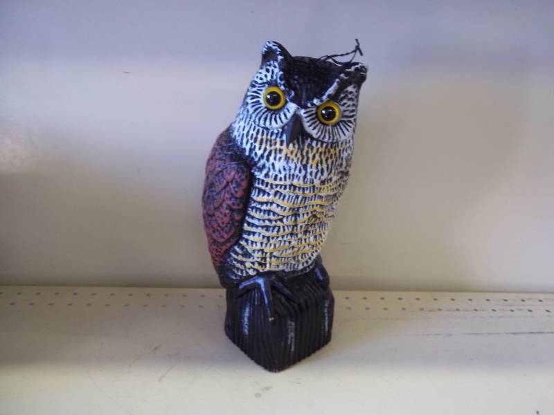 lot 4 image: New Garden Owl