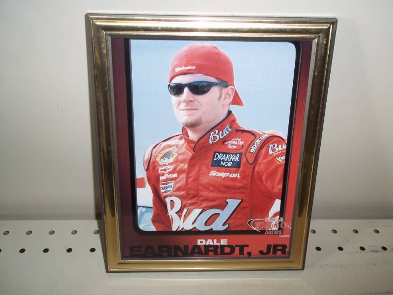 lot 163 image: 8 x 10 Dale Earnhardt Jr. picture