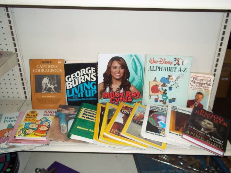lot 182 image: Assortment of kids books, National Geographic, and misc books
