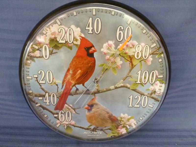 Acu-Rite Thermometer