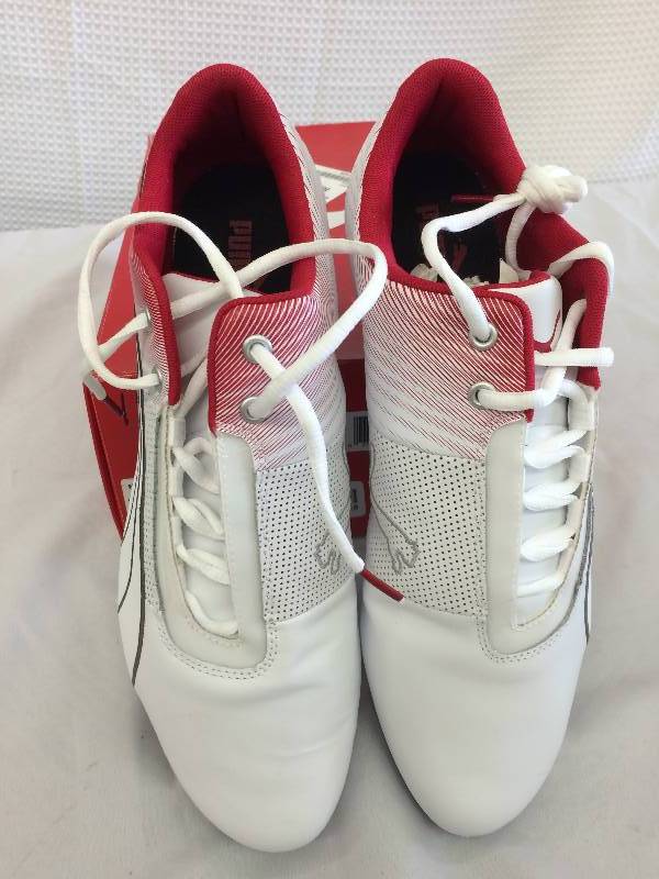 Puma Mens Future Cat SQ Graphic Sport Shoe 11