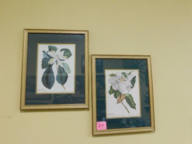 two medium sized framed Magnolia prints.