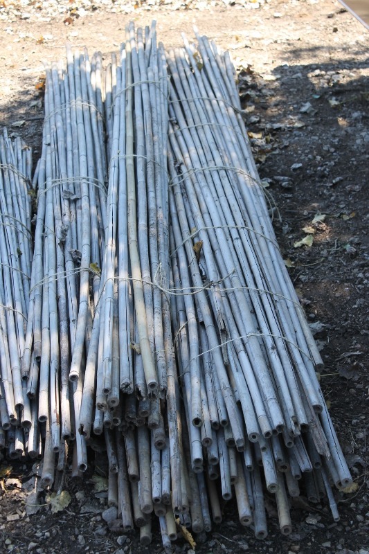 lot 32 image: 10 Bamboo Stakes
