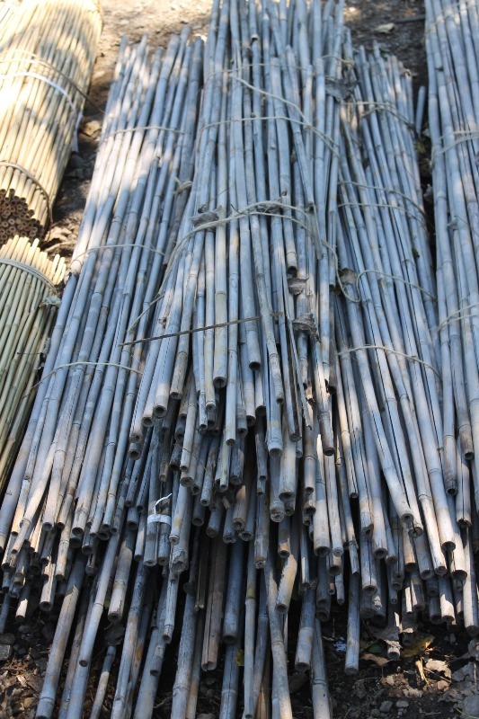lot 33 image: 6 Bamboo Stakes