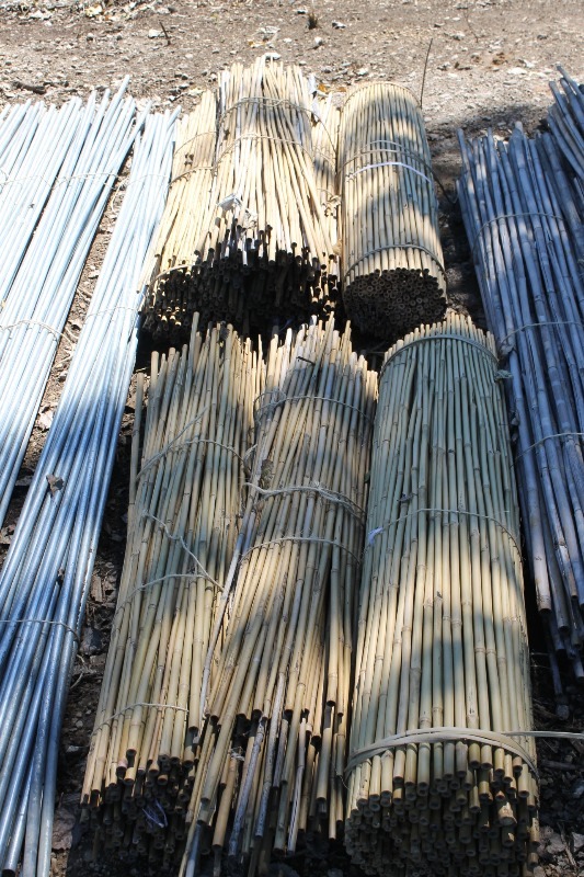 lot 34 image: 4 Bamboo Stakes