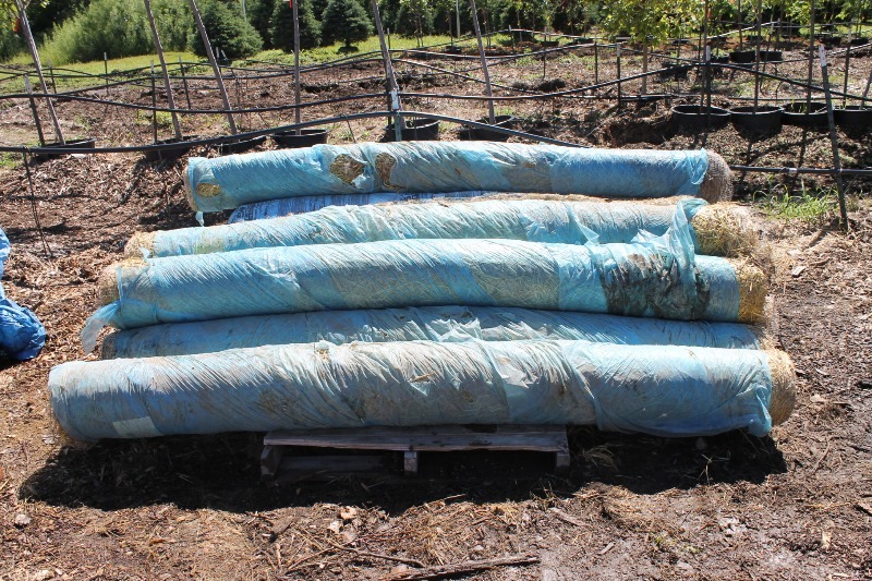 lot 48 image: Straw Blankets