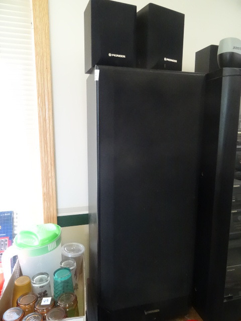 Pioneer Speaker System