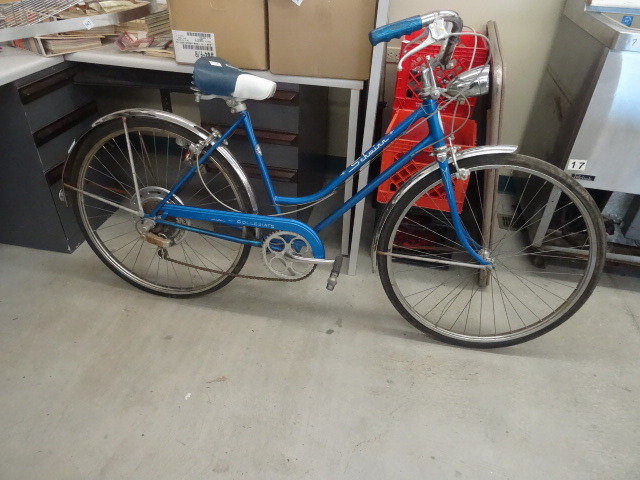 Schwinn 5 Speed