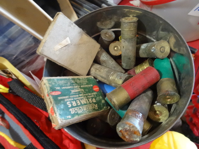 Shotgun Shells
