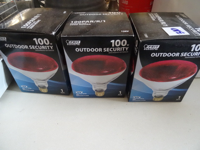 Security Bulbs