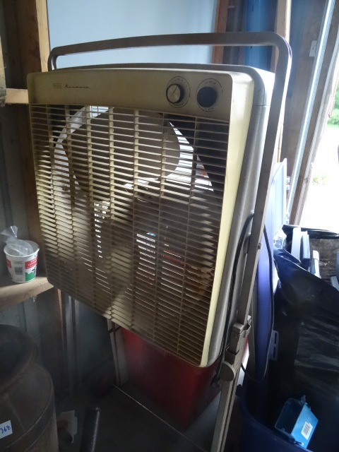 Fan