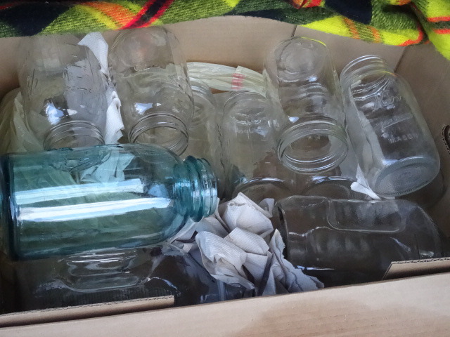 Canning Jars