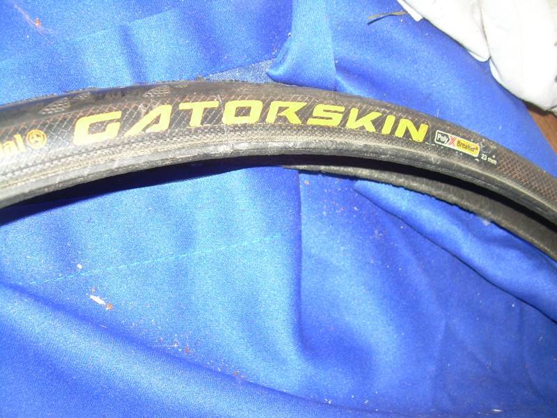 New gatorskin bike tire