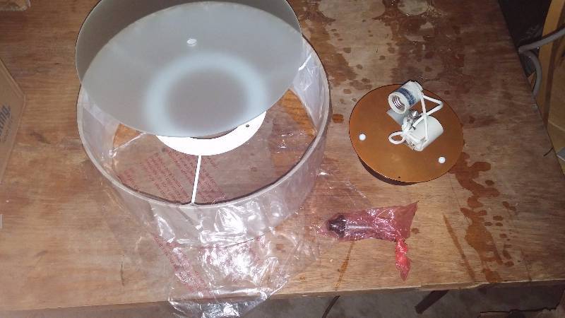 Light Fixture