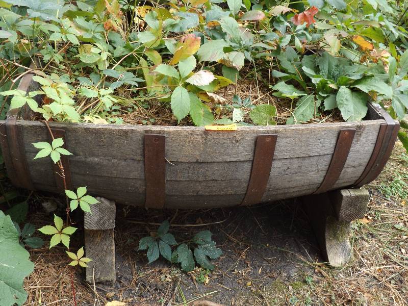 lot 589 image: 12 Barrel with Stand, Filled with Dirt
