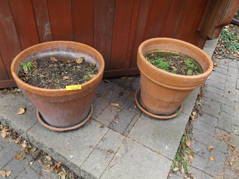 lot 586 image: 2 Clay Planters 18 x 17, Round Metal Plates