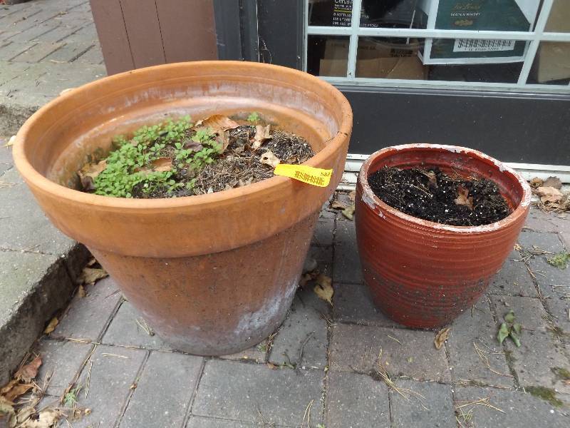 lot 583 image: 2 Clay Pots, 19 x 16 and 11 x 10